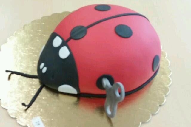 Dort.jpg Dorty a zase dorty ?