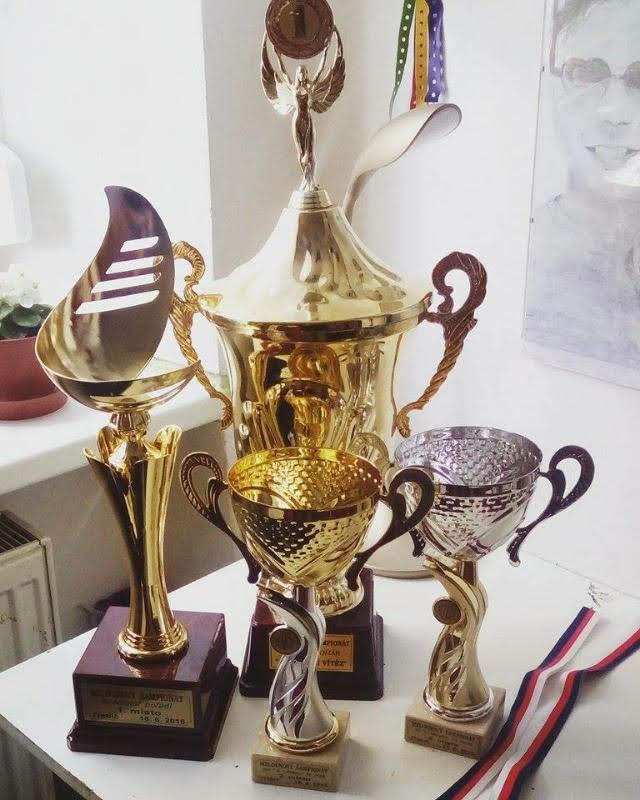 Vojtovy trofeje.jpg Vojtovy trofeje