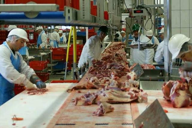 HN Online: Nemocné krávy se porážely i na slovenských jatkách.jpg HN Online: Nemocné krávy se porážely i na slovenských jatkách