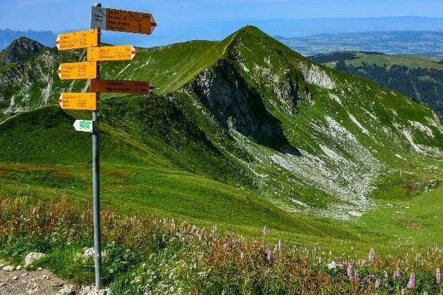 Nejlahodnějším sýrem na světě je pro letošek Gruyère.jpg Nejlahodnějším sýrem na světě je pro letošek Gruyère
