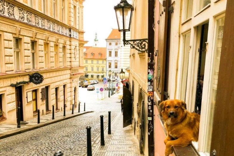 Praha, ilustrační fotografie.jpg Praha, ilustrační fotografie