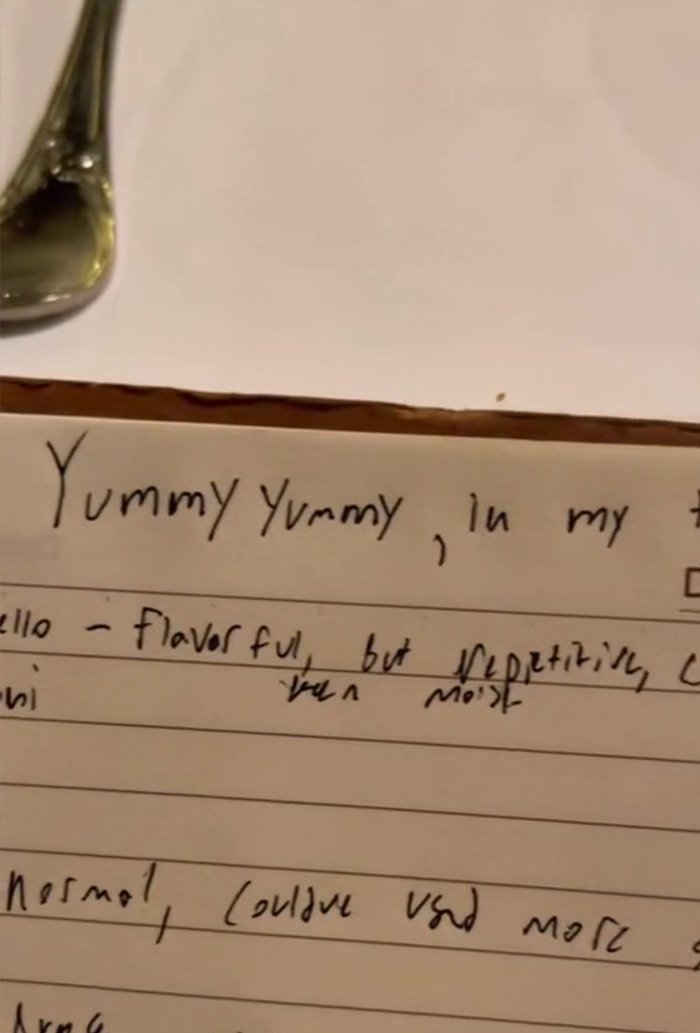 Falesny recenzent 3.jpg https://www.tiktok.com/@slavinjoshua/video/7154347687981092142?is_from_webapp=v1&item_id=7154347687981092142