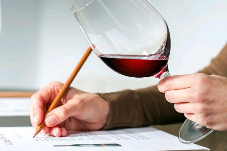 Startuje 14. ročník soutěže Vinařství roku Chuť vina.jpg Startuje 14. ročník soutěže Vinařství roku Chuť vina