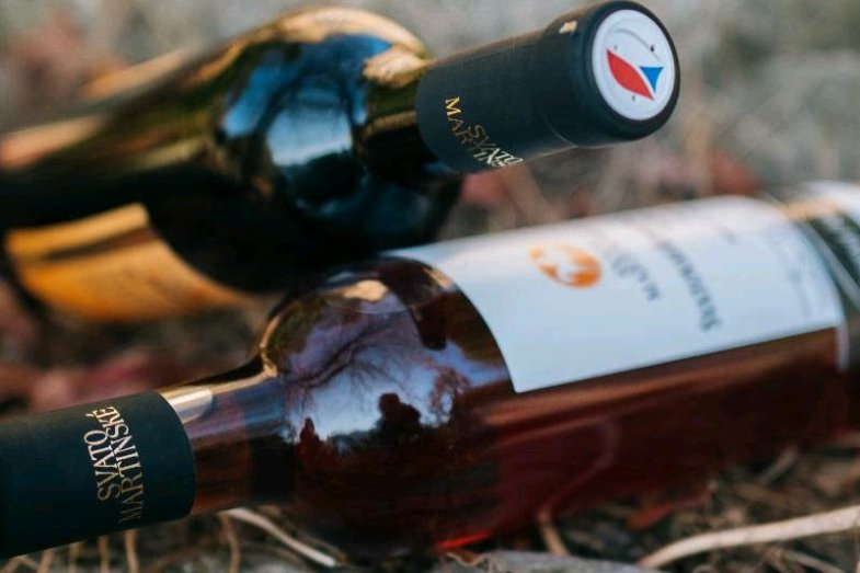 Svatomartinská vína budou letos mimořádně kvalitní.jpg Svatomartinská vína budou letos mimořádně kvalitní