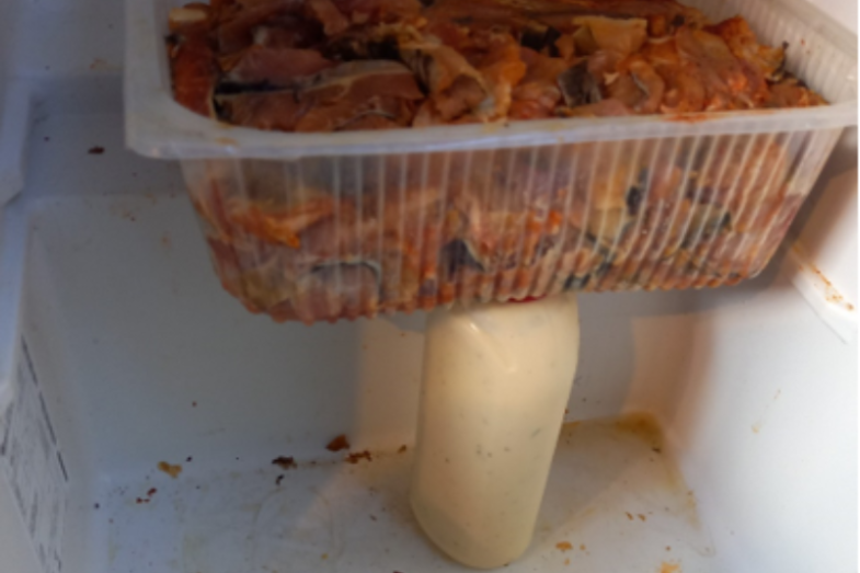 Foto č. 5 – znečištěné chladící zařízení v kuchyni.png Foto č. 5 – znečištěné chladící zařízení v kuchyni