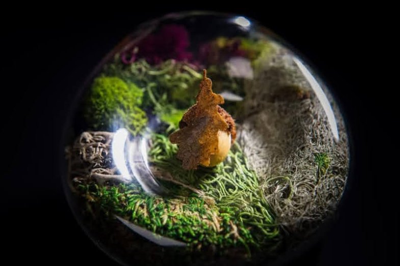 Dominique Crenn: Das Leben auf drei Sternen, foto: Facebook Atelier Crenn.png Dominique Crenn: Das Leben auf drei Sternen, foto: Facebook Atelier Crenn